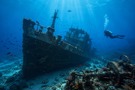 Diving areas - The best wrecks for diving safaris